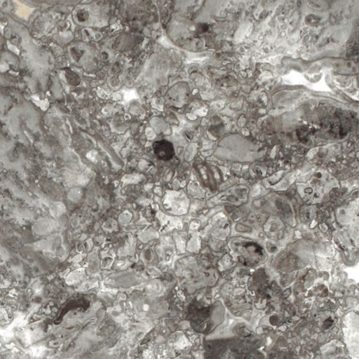 OLYMPIA TILE + STONE - 3D - Tile - D Grigio Billiemi - 12" x 12"