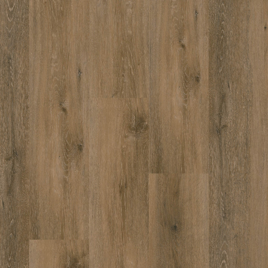 MSI - Nove Reserve Collection - Hatfield - 9" x 48"