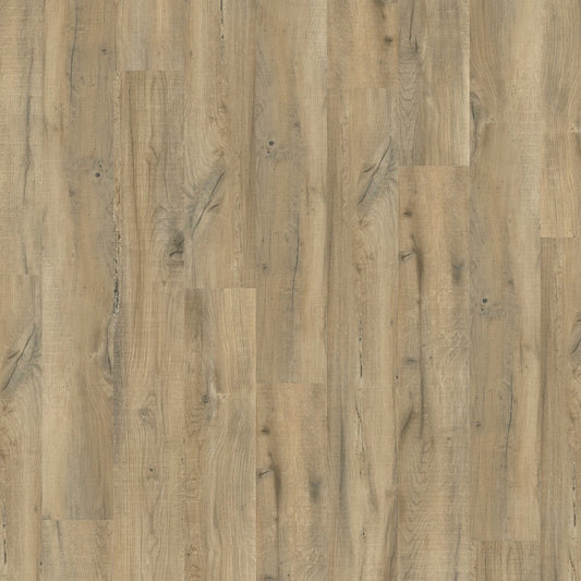 Goodfellow - Palmera Collection - Sunset