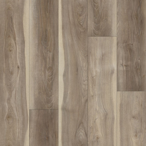 MSI Surfaces - Andover Collection - Highcliffe Greige