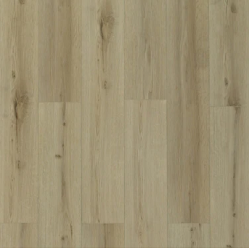 Toucan - TFL627 - Honey Birch