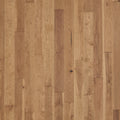 Latitude Forest Park Sunbeam engineered hardwood