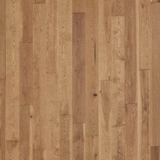 Latitude Forest Park Sunbeam engineered hardwood