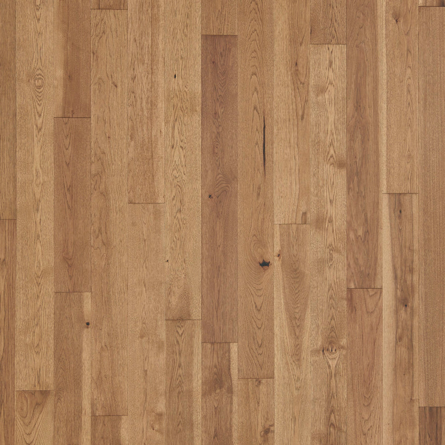 Latitude Forest Park Sunbeam engineered hardwood