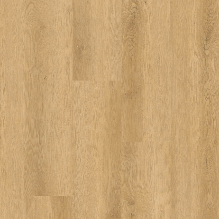 MSI - Nove Plus Collection - Hyde Haven - 9" x 48"