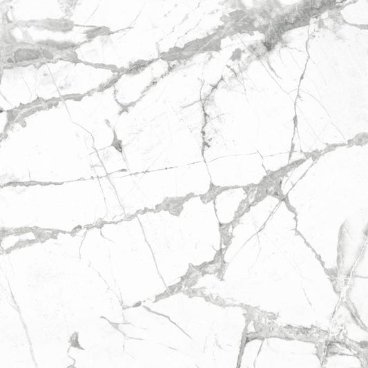 OLYMPIA TILE + STONE - Eterna Series - Porcelain Tile - Invisible White - 24" x 24"