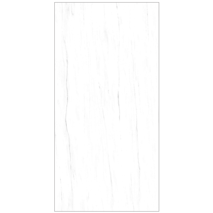 OLYMPIA TILE + STONE - Colossal Series - Porcelain Tile - Lasa - 24" x 48"