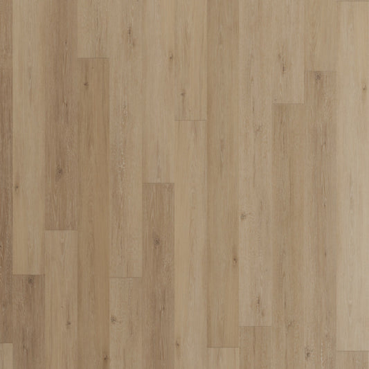 Regency Oak Polished Platinum luxury vinyl plank