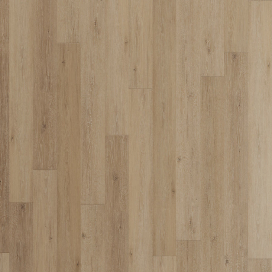 Regency Oak Polished Platinum luxury vinyl plank