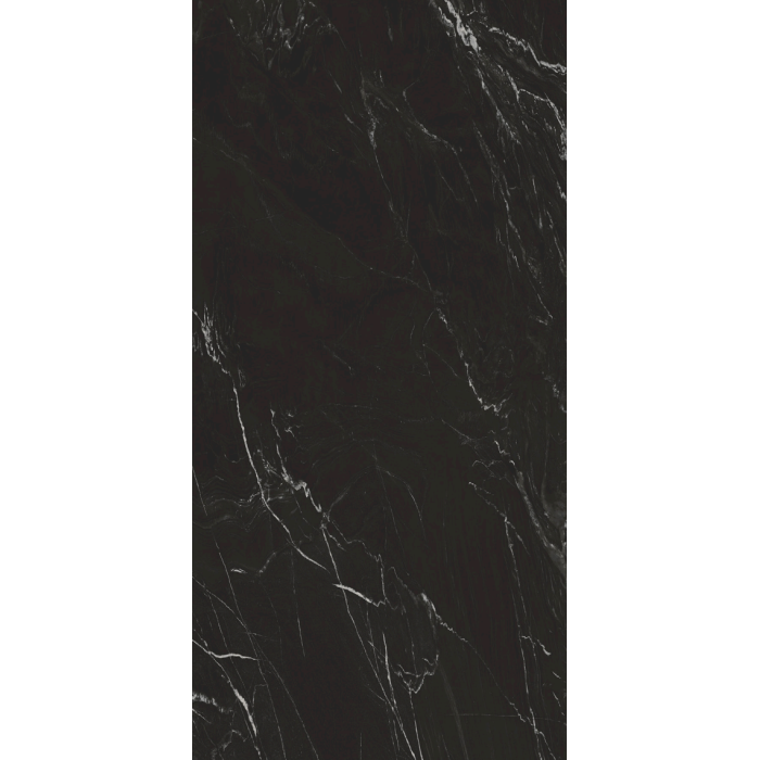 OLYMPIA TILE + STONE - Colossal Series - Porcelain Tile - Nero Belvedere - 24" x 48"
