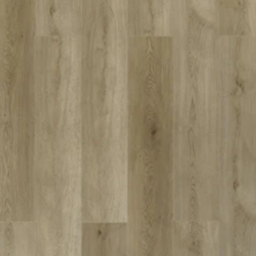 Toucan - TFL626 - Prairie Wheat