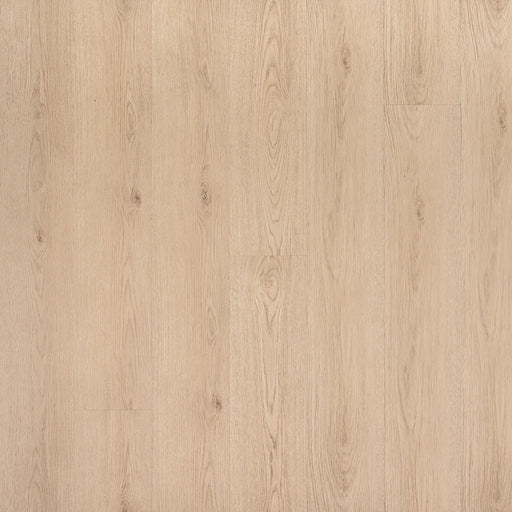 MSI Surfaces - Prescott® Collection - Chester Hills