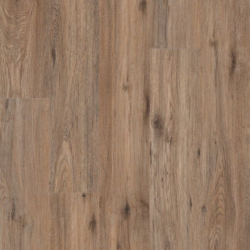 MSI Surfaces - Prescott® Collection - Fauna