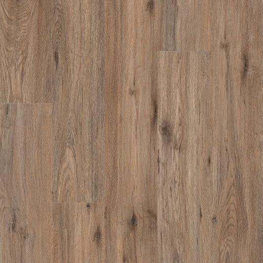 MSI Surfaces - Prescott® Collection - Fauna