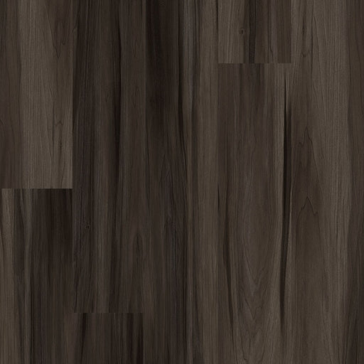 MSI Surfaces - Prescott® Collection - Jenta