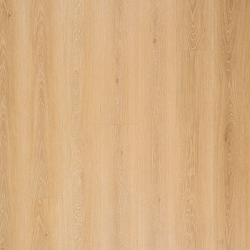 MSI Surfaces - Prescott® Collection - Valleyview Grove