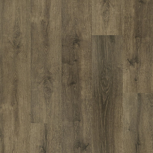 MSI Surfaces - Prescott® Collection - Walnut Waves