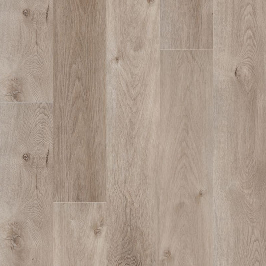 MSI Surfaces - Prescott® Collection - Whitfield Gray