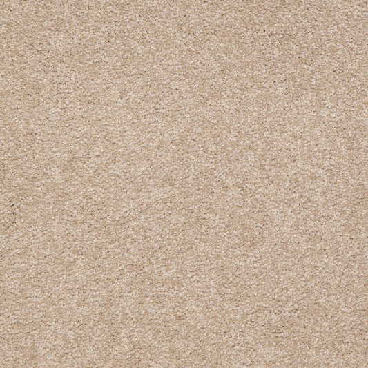 Shaw Floors - Carpet - Sandy Hollow I - 15' - Adobe