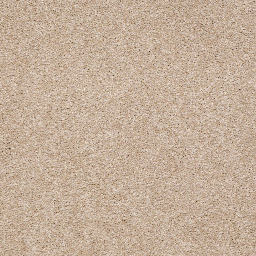 Shaw Floors - Carpet - Sandy Hollow I - 15' - Adobe
