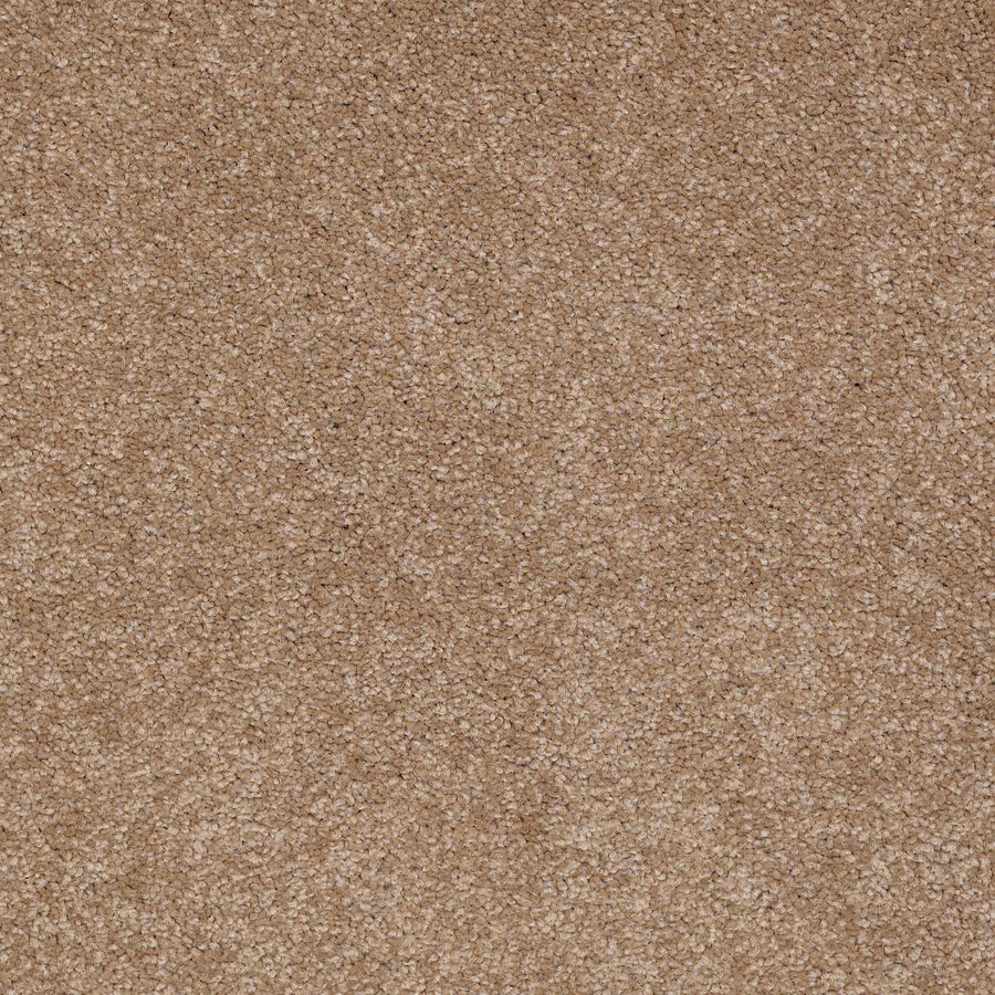 Shaw Floors - Carpet - Sandy Hollow I - 15' - Mojave