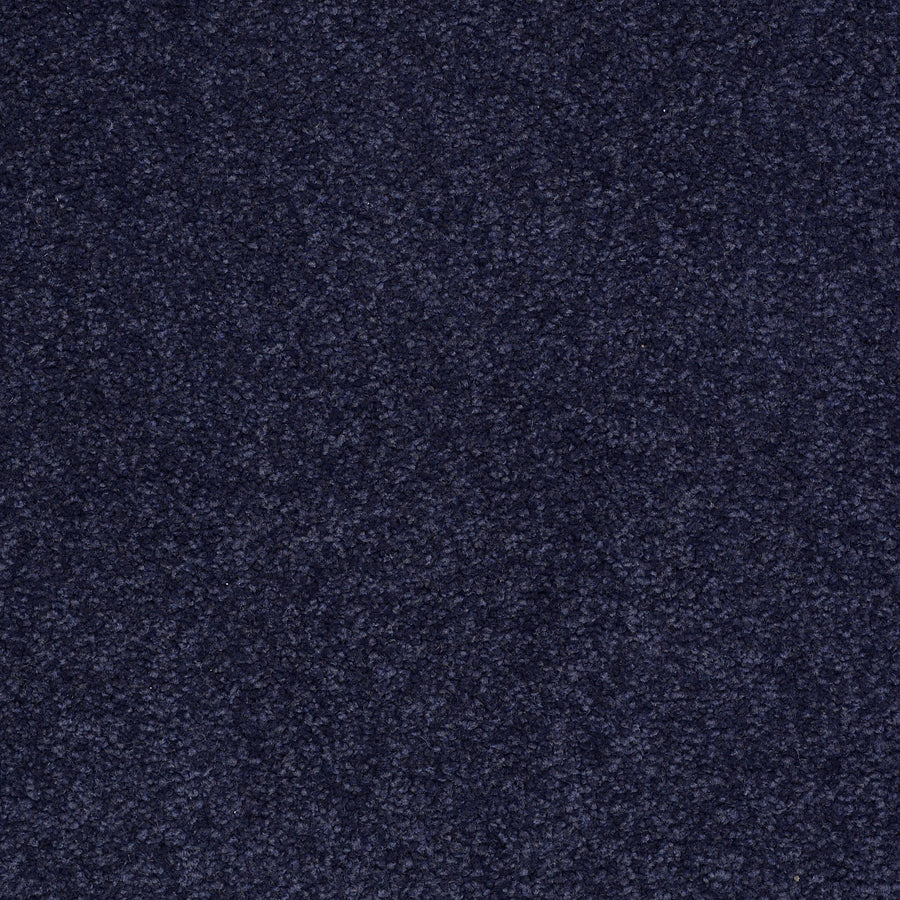 Shaw Floors - Carpet - Sandy Hollow I - 15' - Indigo