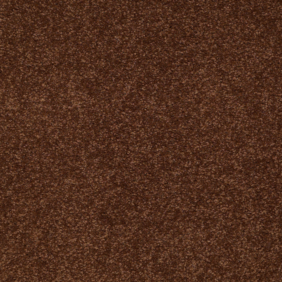 Shaw Floors - Carpet - Sandy Hollow I - 15' - Tortoise Shell