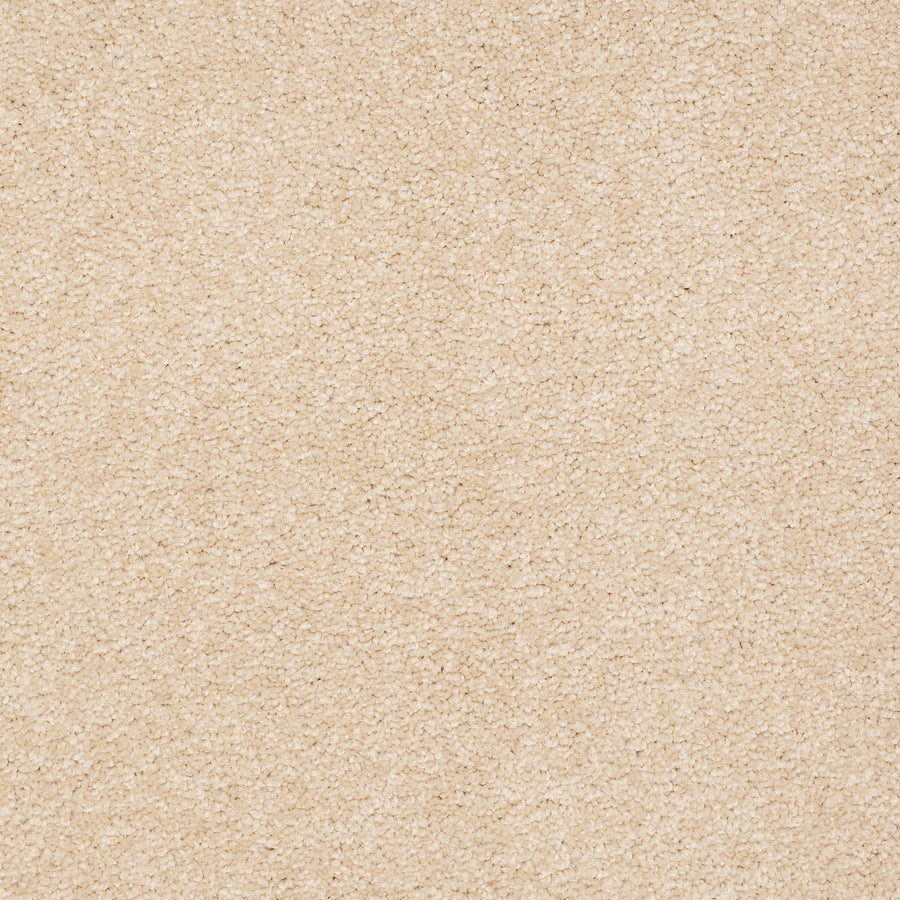 Shaw Floors - Carpet - Sandy Hollow II - 15' - Marzipan