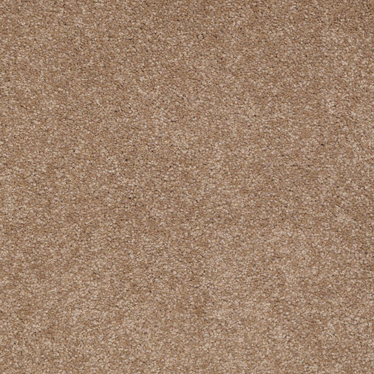 Shaw Floors - Carpet - Sandy Hollow II - 15' - Mojave