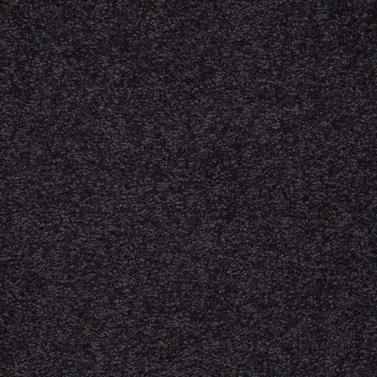 Shaw Floors - Carpet - Sandy Hollow II - 15' - Graphite
