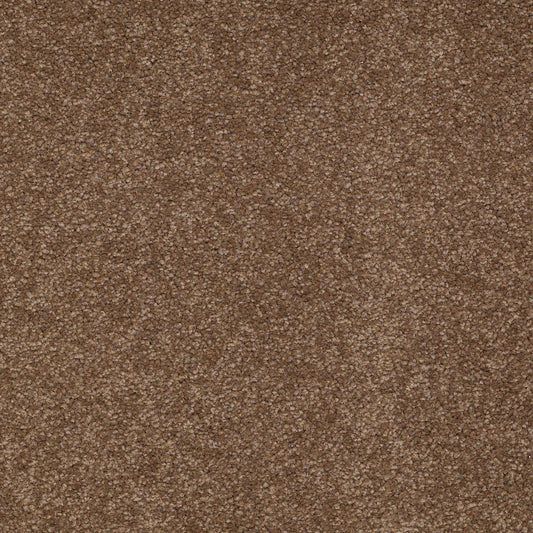 Shaw Floors - Carpet - Sandy Hollow II - 15' - Pine Cone