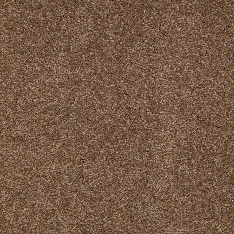 Shaw Floors - Carpet - Sandy Hollow II - 15' - Pine Cone