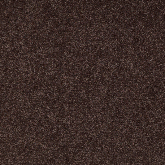 Shaw Floors - Carpet - Sandy Hollow II - 15' - Tundra