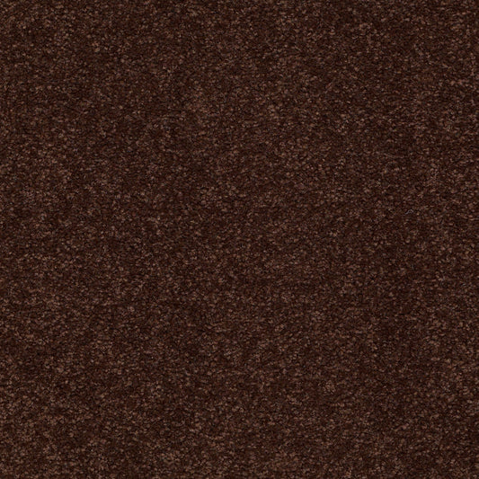 Shaw Floors - Carpet - Sandy Hollow II - 15' - Coffee Bean