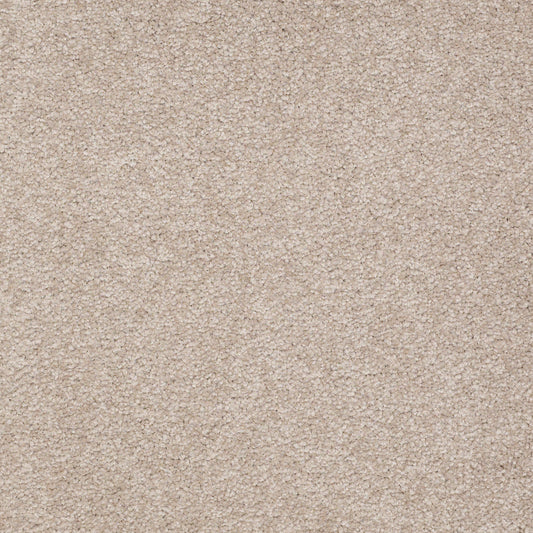 Shaw Floors - Carpet - Sandy Hollow III - 15' - Soft Shadow
