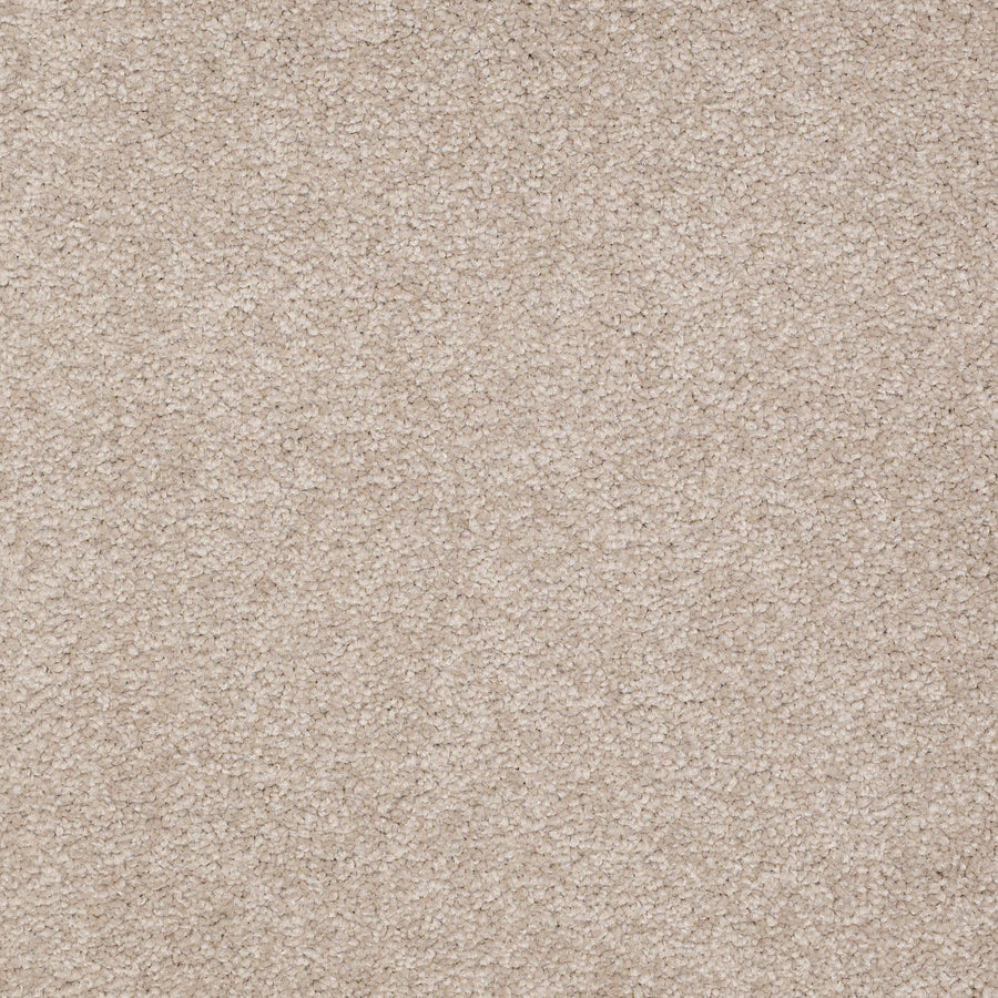 Shaw Floors - Carpet - Sandy Hollow III - 15' - Soft Shadow