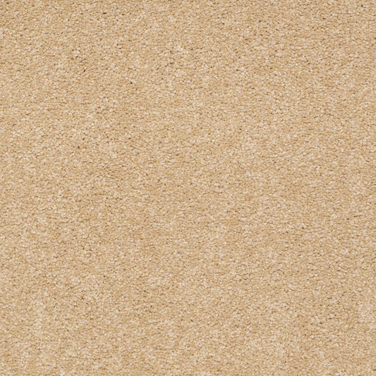 Shaw Floors - Carpet - Sandy Hollow III - 15' - Cornfield