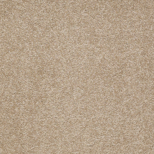 Shaw Floors - Carpet - Sandy Hollow III - 15' - Sahara