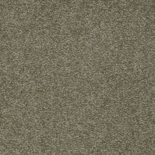 Shaw Floors - Carpet - Sandy Hollow III - 15' - Alpine Fern