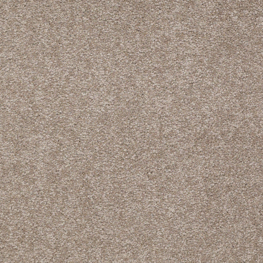 Shaw Floors - Carpet - Sandy Hollow III - 15' - Chinchilla