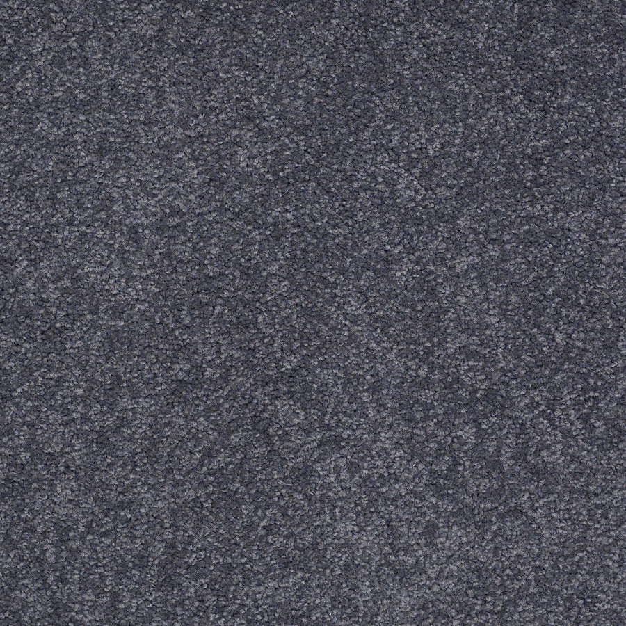 Shaw Floors - Carpet - Sandy Hollow III - 15' - Cadet