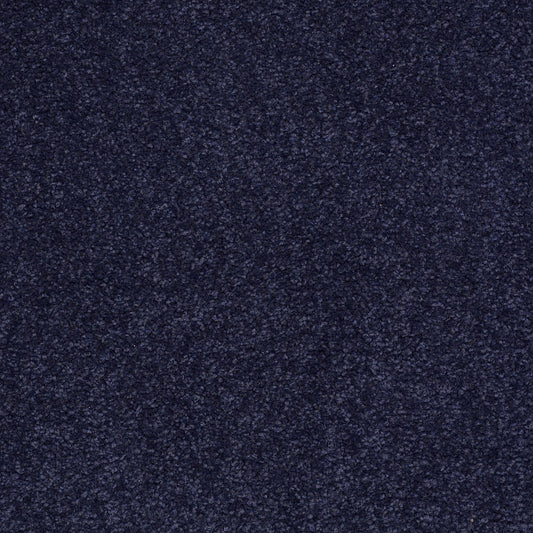 Shaw Floors - Carpet - Sandy Hollow III - 15' - Indigo