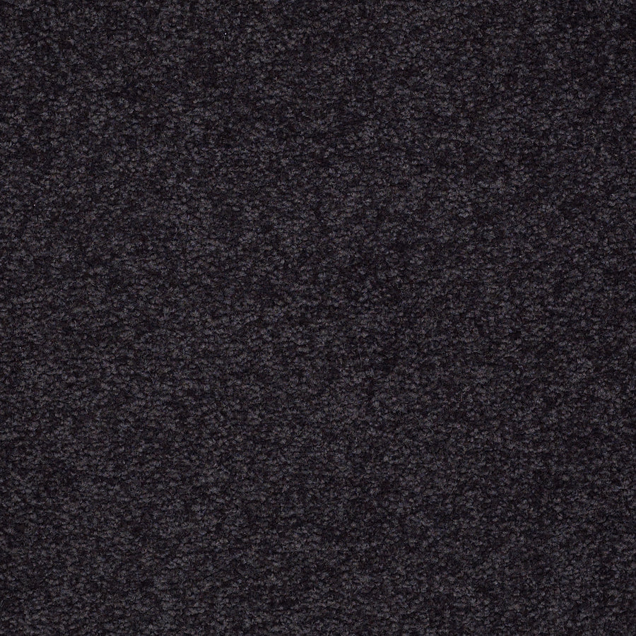 Shaw Floors - Carpet - Sandy Hollow III - 15' - Graphite
