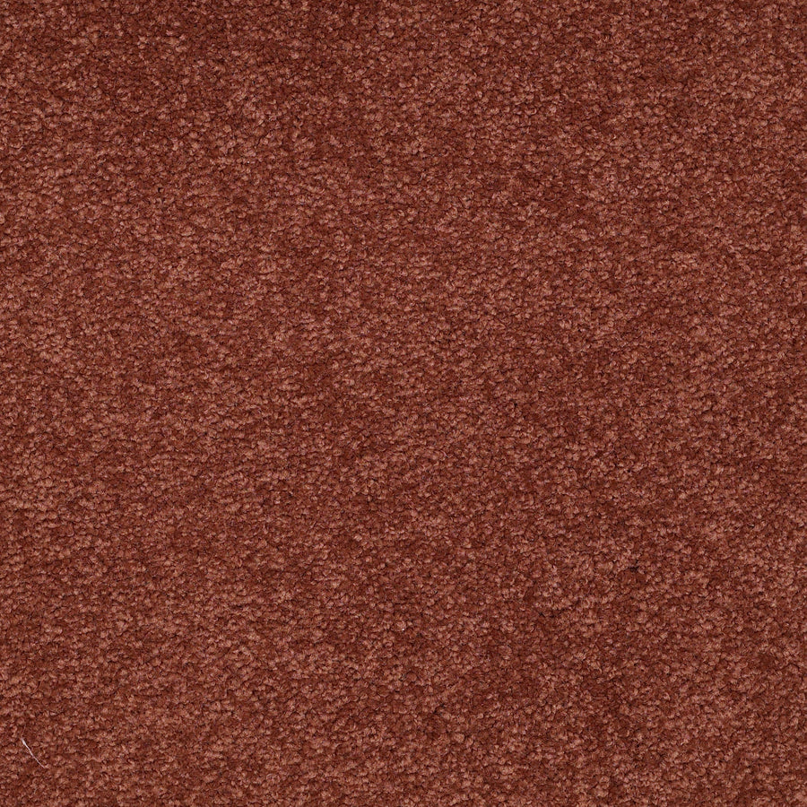 Shaw Floors - Carpet - Sandy Hollow III - 15' - Spanish Tile