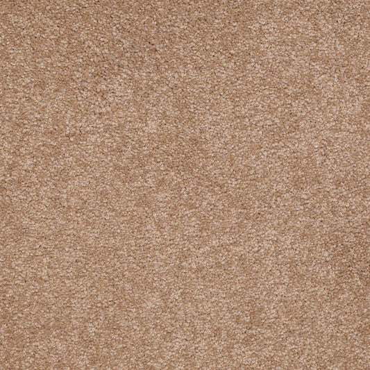 Shaw Floors - Carpet - Sandy Hollow III - 15' - Muffin