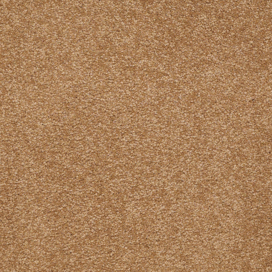 Shaw Floors - Carpet - Sandy Hollow III - 15' - Peanut Brittle
