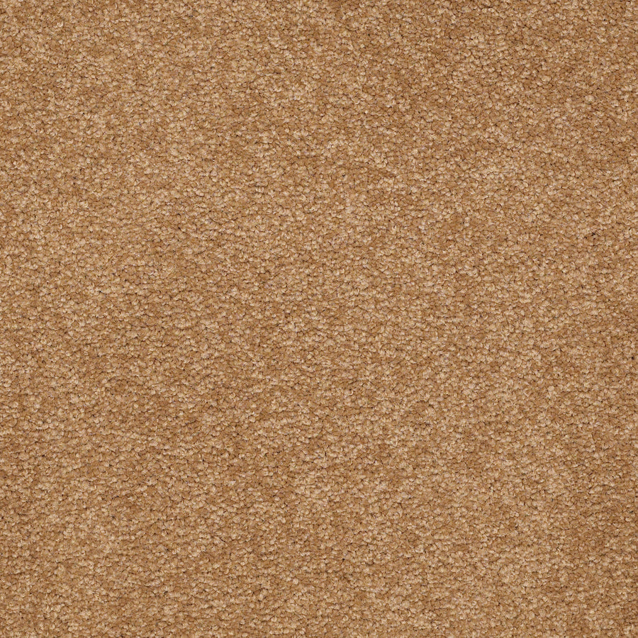 Shaw Floors - Carpet - Sandy Hollow III - 15' - Peanut Brittle