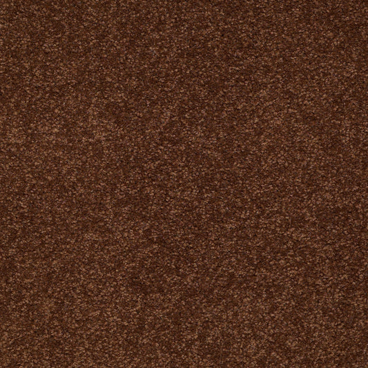 Shaw Floors - Carpet - Sandy Hollow III - 15' - Tortoise Shell