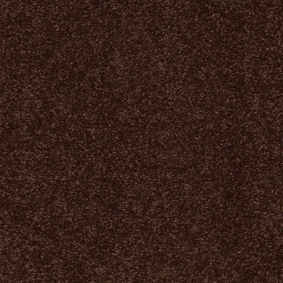 Shaw Floors - Carpet - Sandy Hollow III - 15' - Coffee Bean