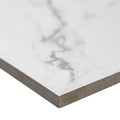 MSI - ROMAN STATUARIO  MATTE - Tile - 12" x 24"